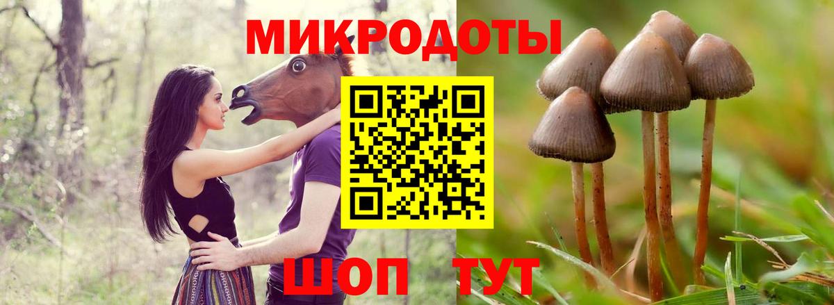 магазин    Псилоцибиновые грибы мицелий  Лениногорск  Вход с VPN  Галлюциногенные грибы Psilocybe 